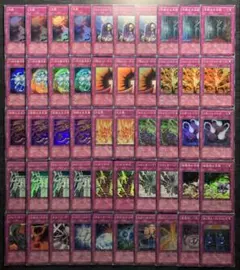 【値下げ不可】遊戯王 罠カード スーパーレア まとめ売り 50枚セット