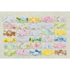 Item thumbnail for item 4b7ffdc0-512e-4bca-b68c-e2f34227ce69