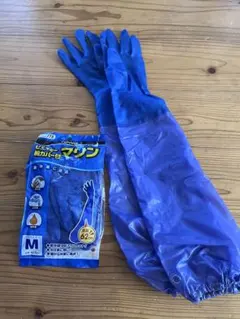 Item thumbnail for item 1592a51a-8be8-4c9a-ba3c-1d2cff480921