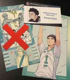 ハイキュー　名刺カードコレクション　第一弾　岩泉一 及川徹　アニメイト　特典