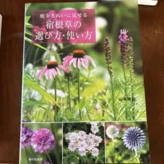 Item thumbnail for item 8ac1b597-30ac-4c17-86fe-d78ad1e1da2f