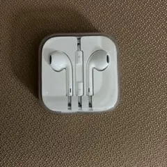 iPhone純正品　有線イヤホン ケース付き