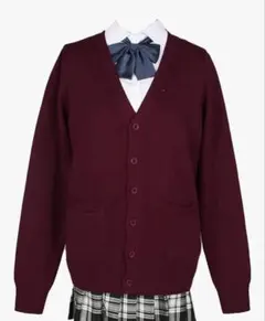 女子高生　JK 制服　スカート、カーディガン　2点 セット