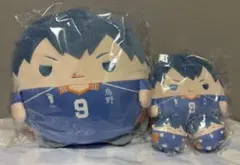 2026年最新】影山飛雄 ぬいぐるみの人気アイテム - メルカリ