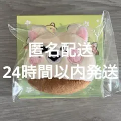 2026年最新】nct dream ポップアップ チソンの人気アイテム - メルカリ