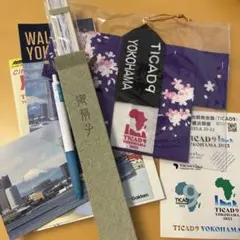 Item thumbnail for item 1d741293-d7a4-4275-9c69-ba01e9b3fdfc