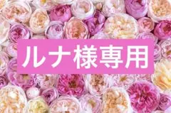 ルナ様専用