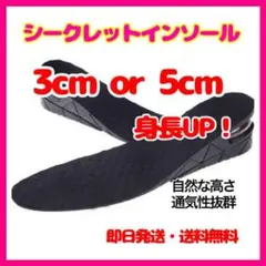 シークレットインソール 2段 低反発 中敷き 通気性 身長アップ 調整のサムネイル