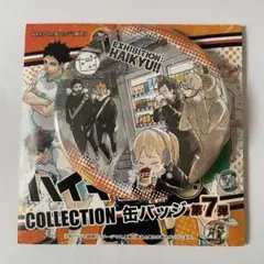 ハイキュー!!　原作コレクション缶バッジ　第7弾　烏野高校　新3年集合