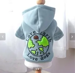 Item thumbnail for item 91f8d684-c62c-4634-9dfa-2f4355d3fcd3