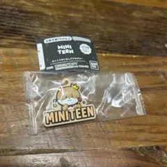 MINITEEN ガチャ　ぷっくりめじるしアクセサリー　ディノ