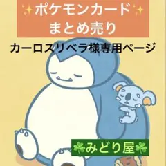 カーロスリベラ様 リクエスト 3点 まとめ商品