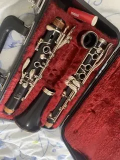 Item thumbnail for item 2deaa9b9-b4b2-413a-bddf-8abb7b9bdebe