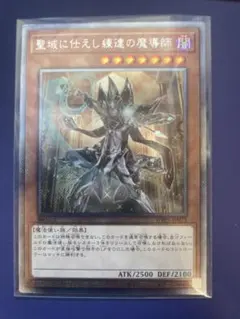 2025年最新】聖域に仕えし練達の魔導師の人気アイテム - メルカリ