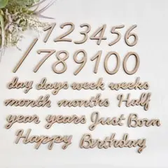 木製ベビーフォト26点set/ジャストボーン 月齢フォト マンスリーカード