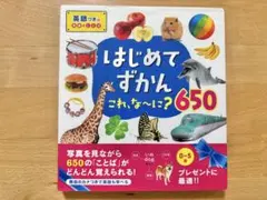 Item thumbnail for item 9a1cce16-bbee-4505-bb7c-3d74d60aeca8