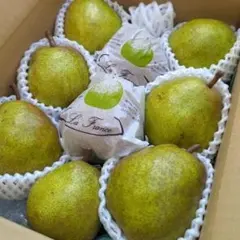 山形ラ・フランス 贈答用予冷済み 山形のうまいもの箱入り3k