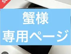 専用ページ