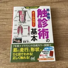 筋と骨格の触診術の基本 : オールカラー