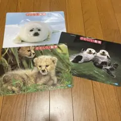 Item thumbnail for item 451fdcc5-d743-4f6c-b796-3b5d0aea70c7