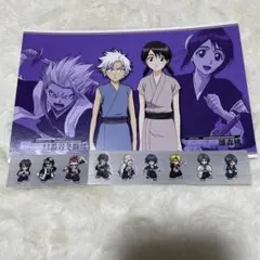 BLEACH 日番谷 雛森桃 恋次 白哉 砕蜂 イヅル 卯ノ花 カードセット