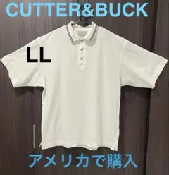 Item thumbnail for item 5f3bbff5-c741-4eb9-8150-6b0455a3385d