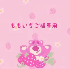 ももいちご様専用です
