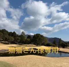 猫猫さん様専用