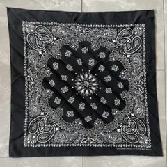 【Deadstock】80's Paisley Bandana/RN15187