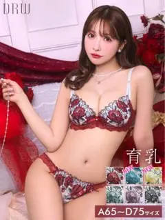 DRW D65 ゴージャスフラワーパール育乳脇高ブラジャー&フルバックショーツ