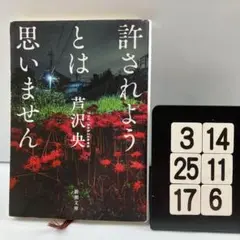 許されようとは思いません 3-14*25.17*6