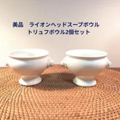 2026年最新】ライオンヘッド スープボウルの人気アイテム - メルカリ
