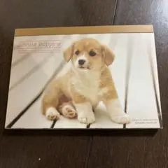 平成レトロ　わんちゃん　犬　メモ帳　ステッカー　子犬