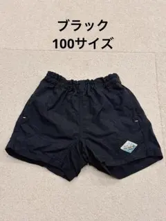 【格安】100サイズ　男の子用水着（Breeze）