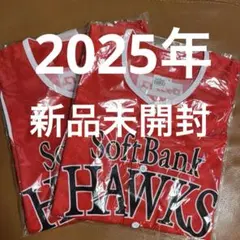 【値下げしました】鷹の祭典赤 サマーブースト　ユニフォーム　Lサイズ 2枚セット