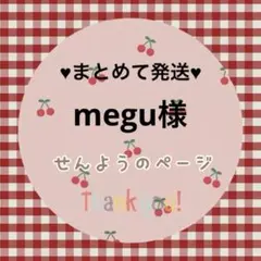 megu様 リクエスト 3点 まとめ商品