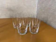 すみたん様専用　SCHOTT ZWIESEL 薄口　タンブラーグラス 5個セット