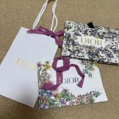 Dior ディオール　シーズン限定 紙袋　リボン付き