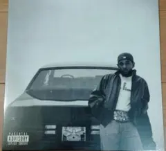 Kendrick Lamar レコードセット To Pimp A Butterfly (10 Year Anniversary Edition)(半掛け帯付