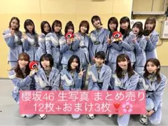 櫻坂46 生写真 まとめ売り