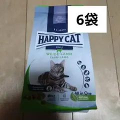 Item thumbnail for item f51e6d3b-e0a6-4129-83d0-49df0b4621c6