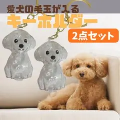 犬モチーフ 透明チャーム キーリング アニマル雑貨 毛玉 ガチャ