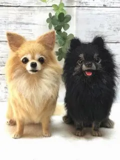 羊毛フェルト　ハンドメイド　犬【チワワ&ポメラニアン】みほ様専用　メモリアル