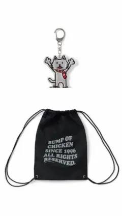 新品未開封 BUMP OF CHICKEN ナップサック 新品未開封 BUMP OF CHICKEN ナップサック - メルカリ
