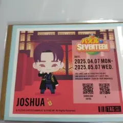 SEVENTEEN パズチラベル　ジョシュア