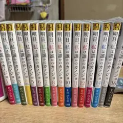 美品、帯付き】明日、私は誰かのカノジョ 1-17巻 全巻セット - メルカリ