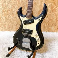 TOKAI ハミングバード Hamming bird W-600 Custom 2025年最新】tokai humming birdの人気アイテム - メルカリ