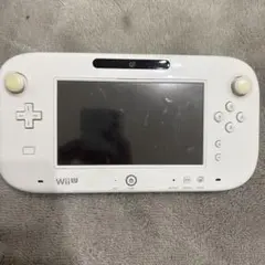 Wii U GamePad & Pro Controller セット