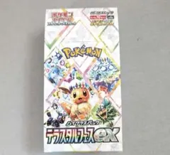 2025年最新】テラスタルフェスex box シュリンクなしの人気アイテム