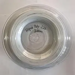 Item thumbnail for item 3807eab4-f885-4238-9159-43d672ea4120